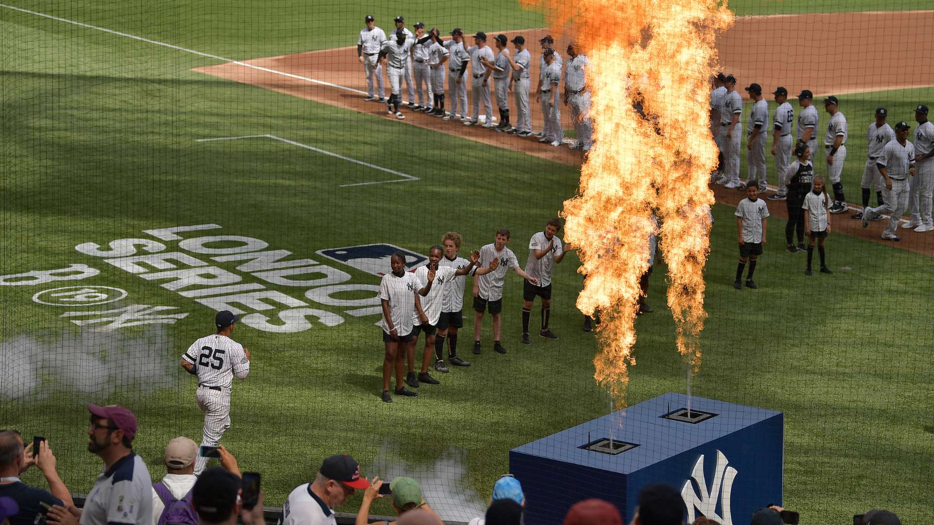 这种环境的 这种环境的